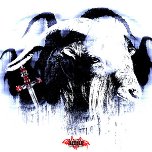 黄片无码免费看
