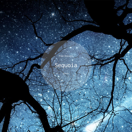 黄片无码免费看
