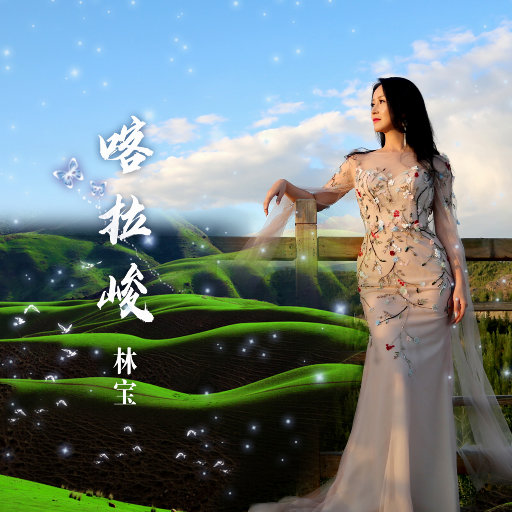 黄片无码免费看
